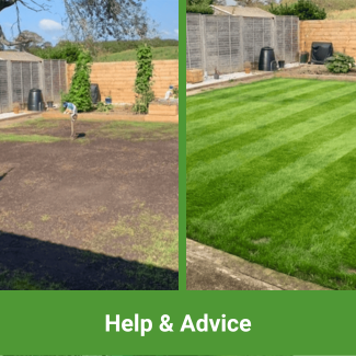 View Help & Advice